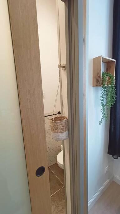 Le Raffine Apartment Millau Ngoại thất bức ảnh